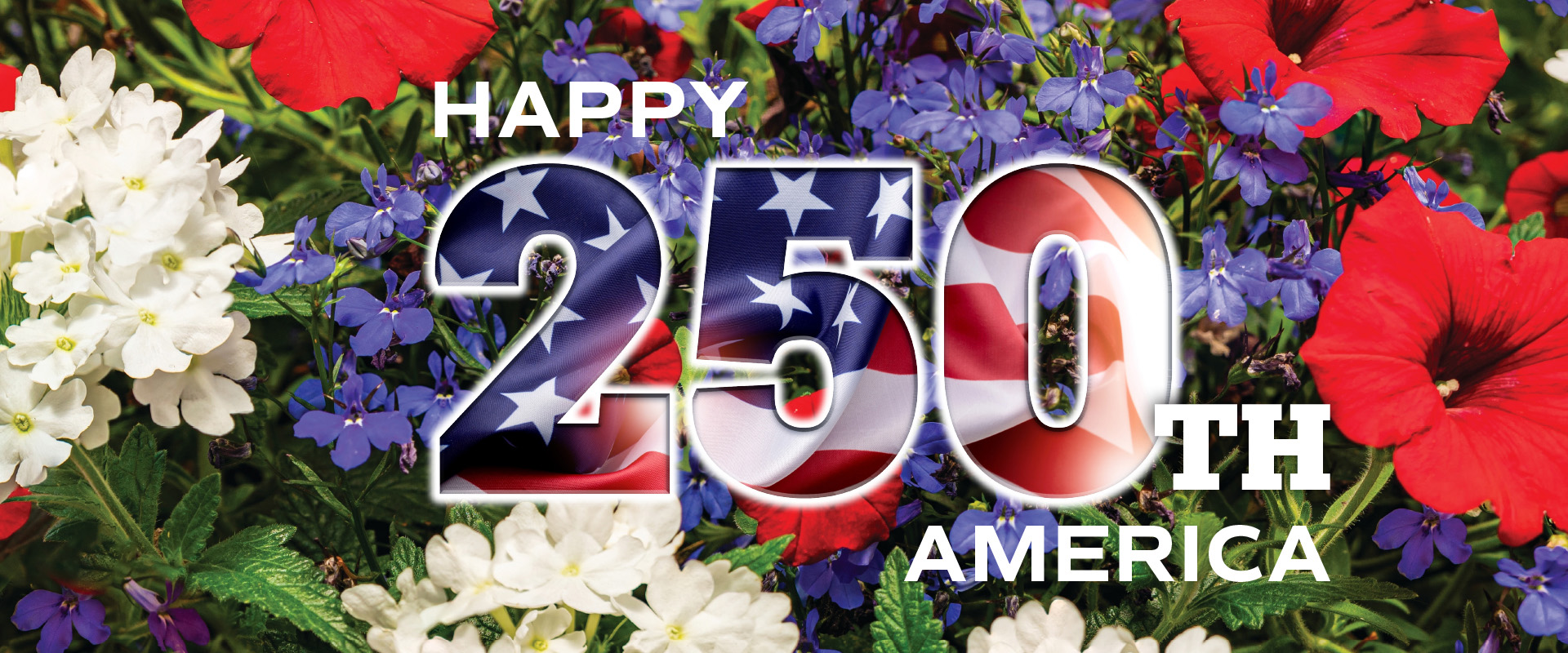Happy 250th America with blue, red, and white flowers in the background